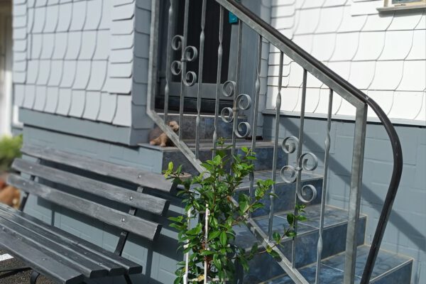 Appartment_Haus-Klaus-Eingang