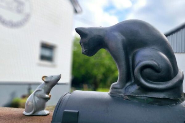 Appartment_Haus-Klaus-Hof-02